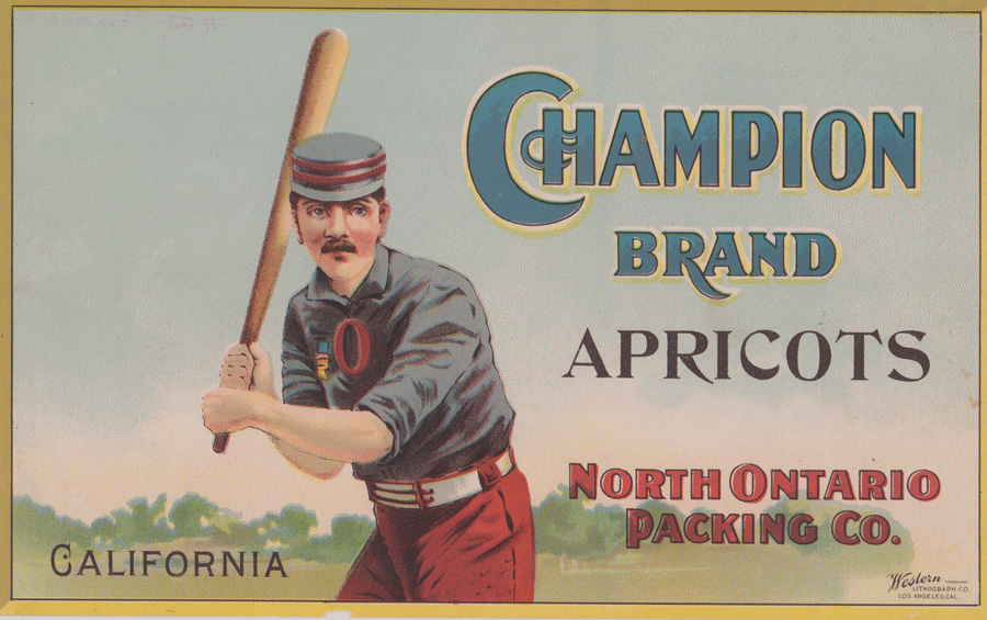Very Scarce Ca.1900 Champion Brand Apricots Label