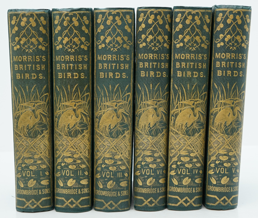 History of British Birds by Morris 6 Vol. 1865