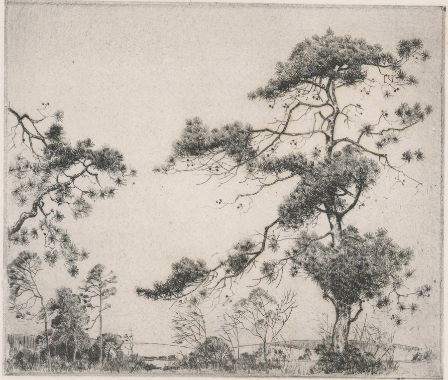 Alfred Heber Hutty Signed Etching [Pine Trees]