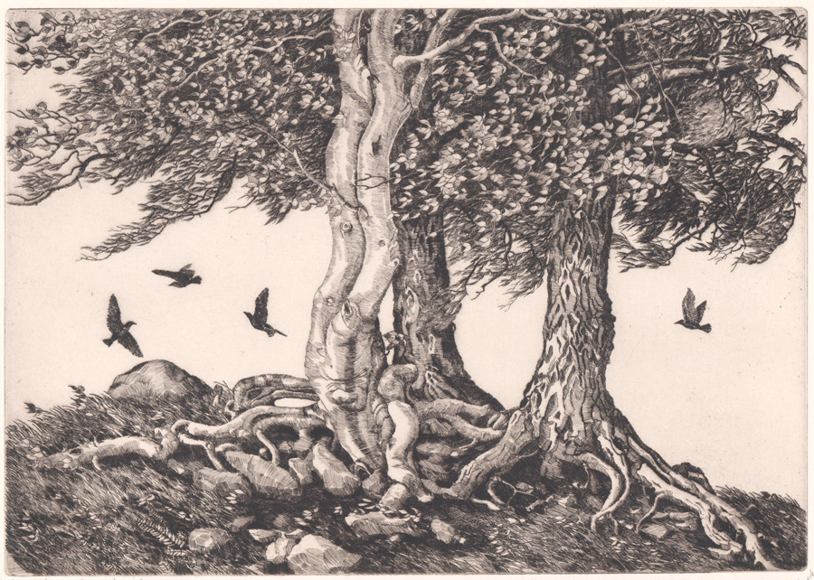 Walter Locke Pencil Signed Etching [Trees]